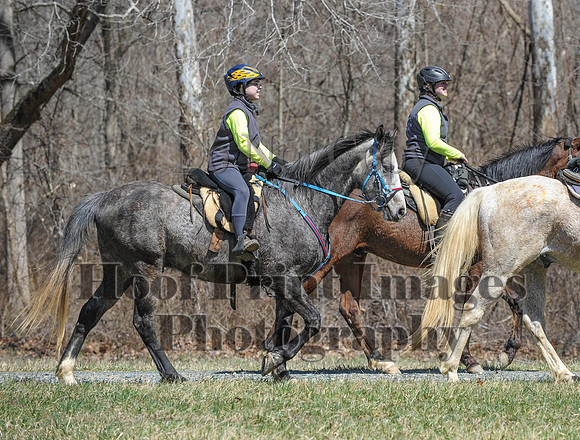 Chesapeake(4-4-15)0641