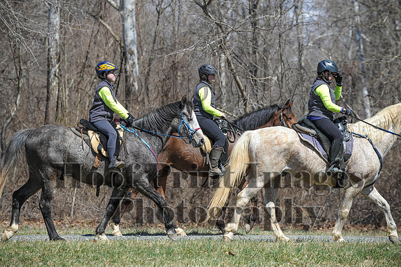 Chesapeake(4-4-15)0642