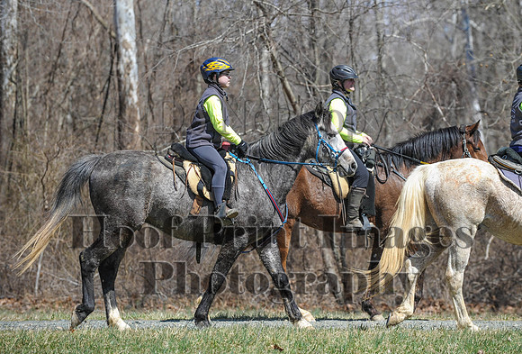 Chesapeake(4-4-15)0643