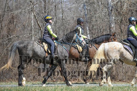 Chesapeake(4-4-15)0644
