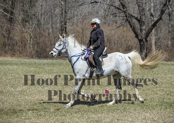 Chesapeake(4-4-15)0647
