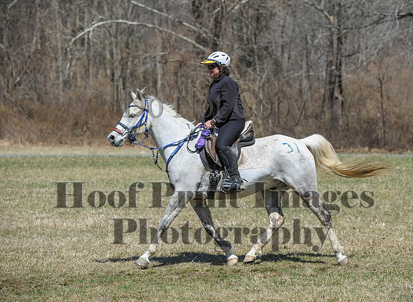 Chesapeake(4-4-15)0648