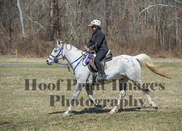 Chesapeake(4-4-15)0649