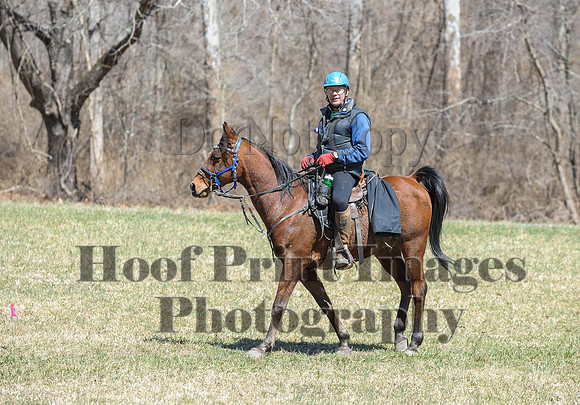 Chesapeake(4-4-15)0651