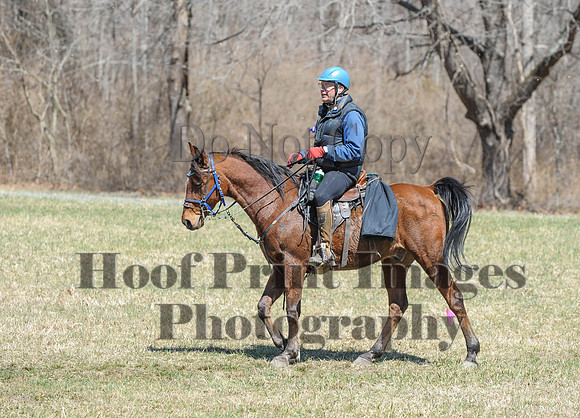 Chesapeake(4-4-15)0652