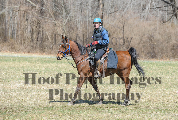 Chesapeake(4-4-15)0653