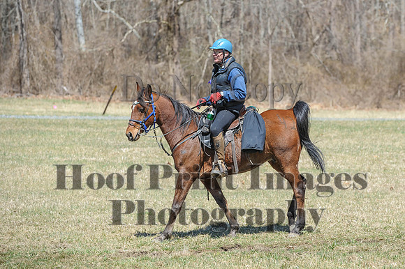 Chesapeake(4-4-15)0654