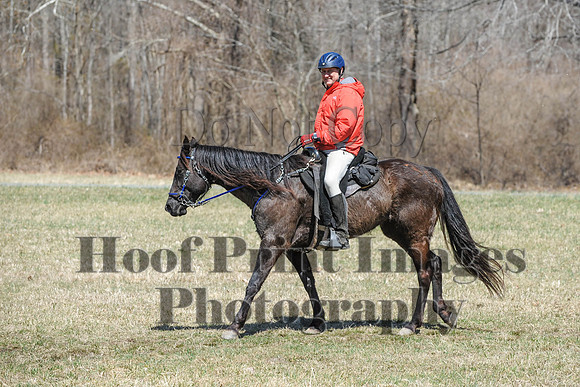 Chesapeake(4-4-15)0656