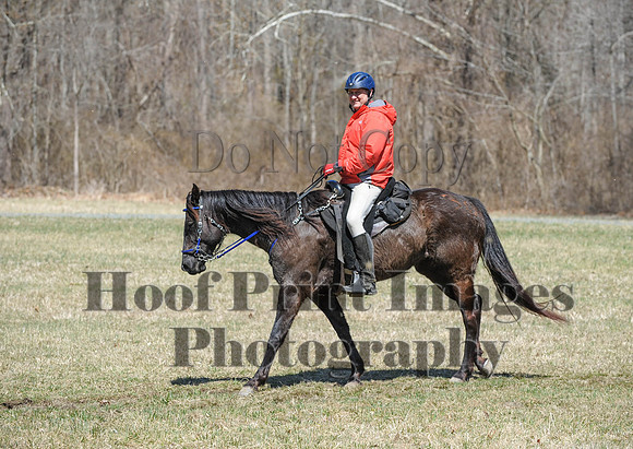 Chesapeake(4-4-15)0657