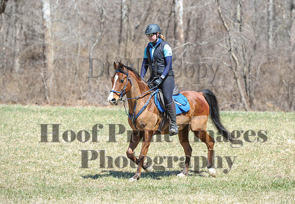 Chesapeake(4-4-15)0660