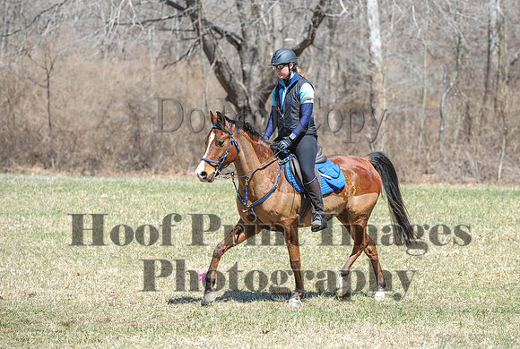 Chesapeake(4-4-15)0661