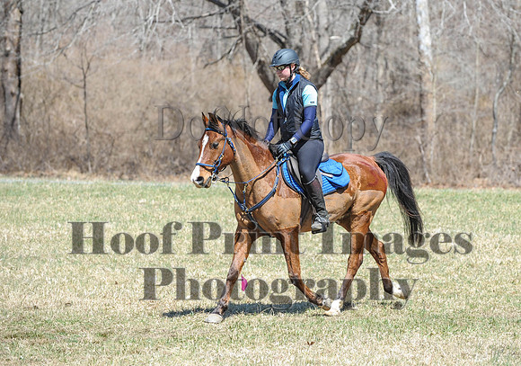Chesapeake(4-4-15)0662