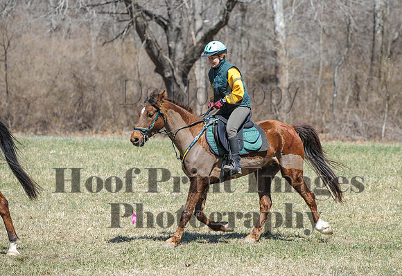 Chesapeake(4-4-15)0663