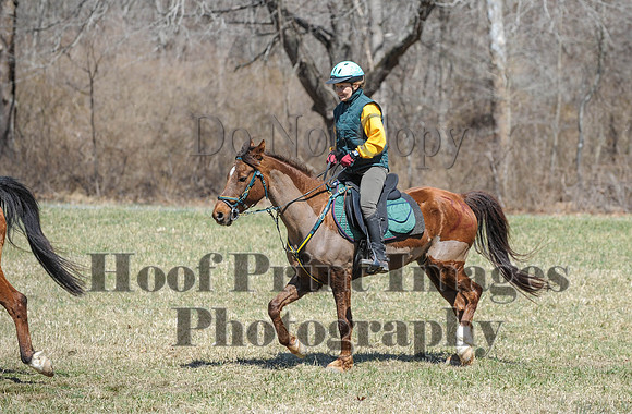 Chesapeake(4-4-15)0664