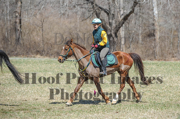 Chesapeake(4-4-15)0665