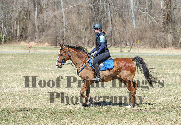 Chesapeake(4-4-15)0666