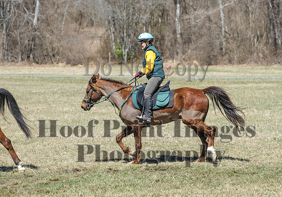 Chesapeake(4-4-15)0668