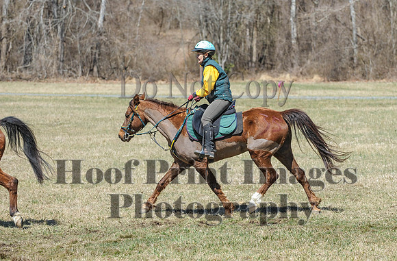 Chesapeake(4-4-15)0669