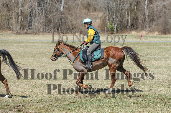 Chesapeake(4-4-15)0670