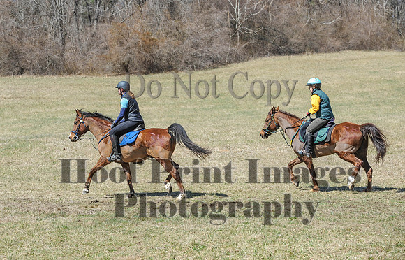 Chesapeake(4-4-15)0671