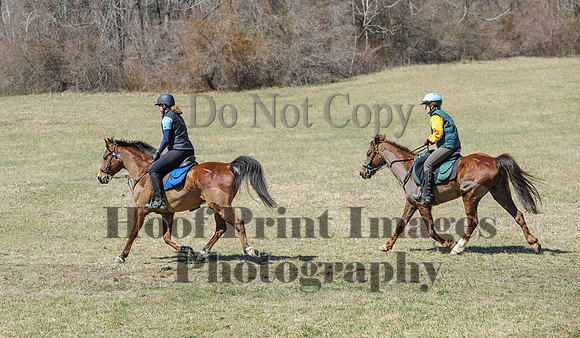Chesapeake(4-4-15)0672