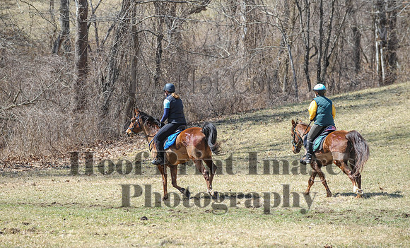 Chesapeake(4-4-15)0673