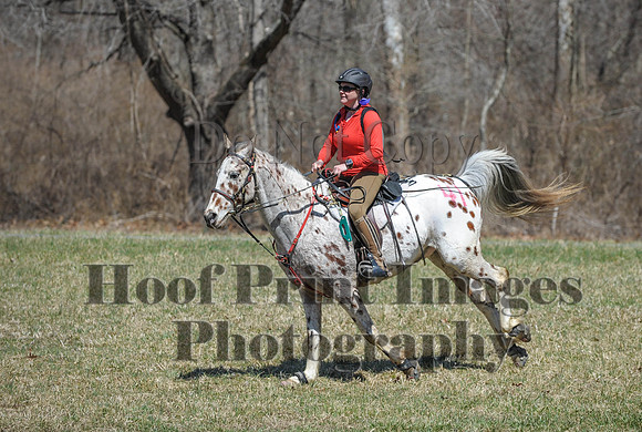 Chesapeake(4-4-15)0680