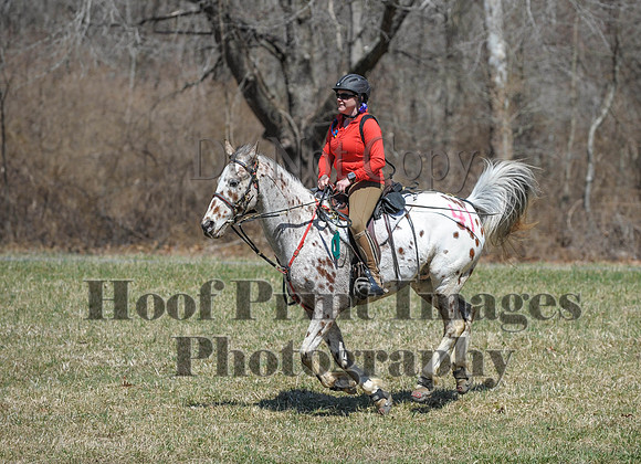 Chesapeake(4-4-15)0681