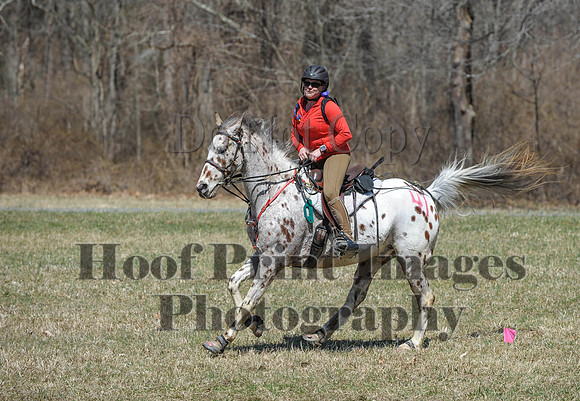 Chesapeake(4-4-15)0682