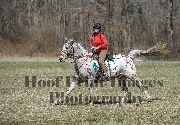 Chesapeake(4-4-15)0683