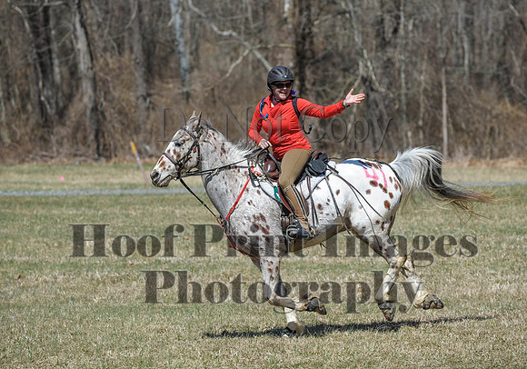 Chesapeake(4-4-15)0684