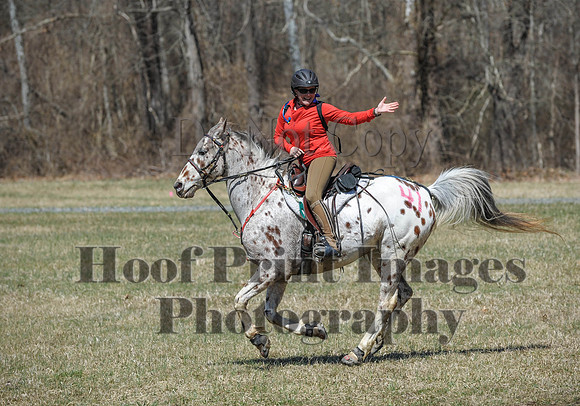 Chesapeake(4-4-15)0685