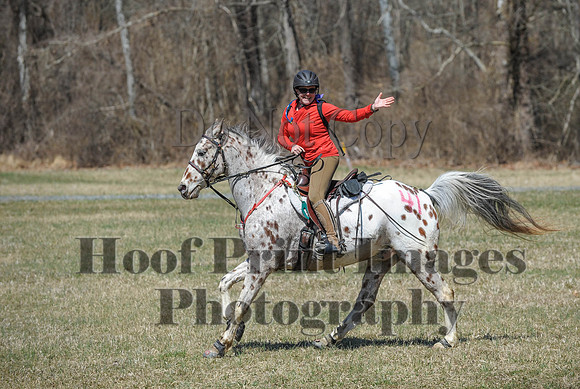 Chesapeake(4-4-15)0686