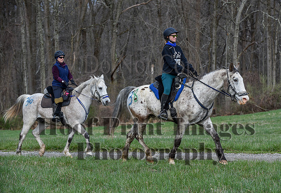ChesapeakeSpring(4-10-22)0123
