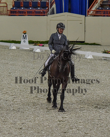 CWdressageII(8-21-16)0206