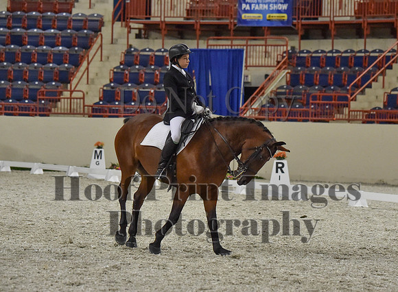 CWdressageI(8-20-16)1308