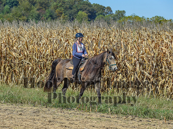CheshirePonyClubPC(10-6-24)0228