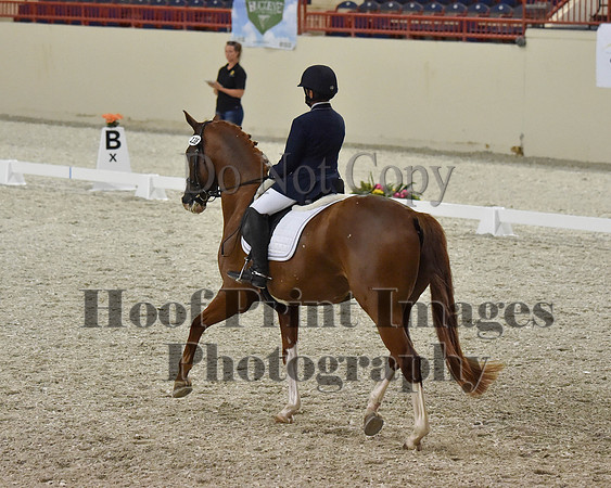 CWdressageII(8-21-16)1990