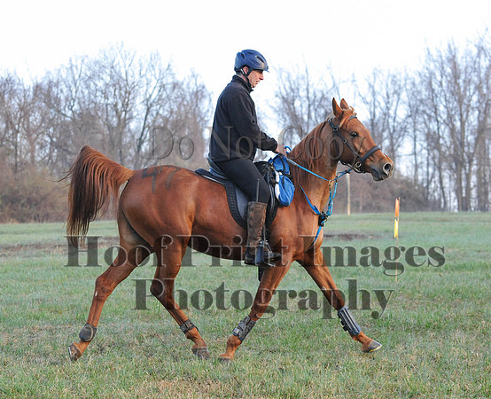 Foxcatcher(4-12-14)0173