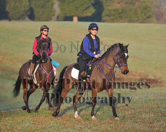 Foxcatcher(4-12-14)0255
