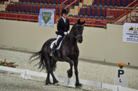 CWdressageI(8-20-16)0052