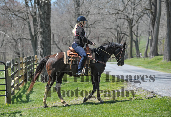 CheshirePC(4-16-16)0245