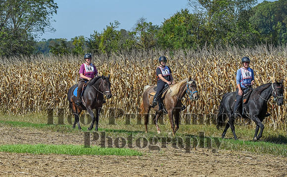 CheshirePonyClubPC(10-6-24)0233