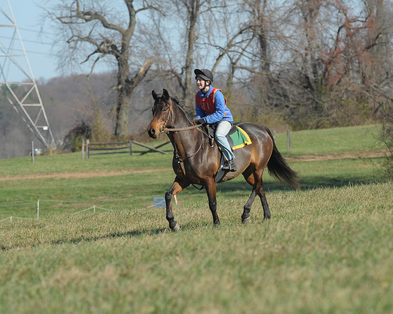 BHPC(11-15-15)0227