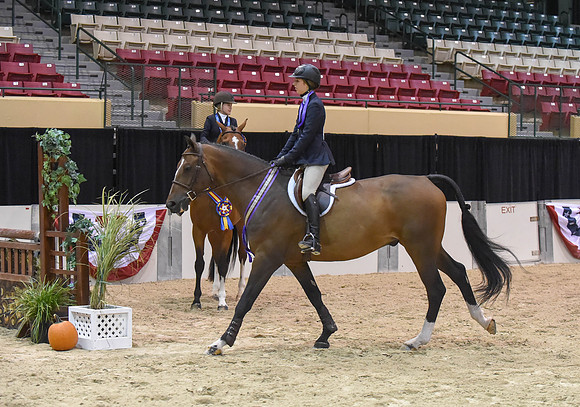 MHSAHtStFinH(9-12-14)0253