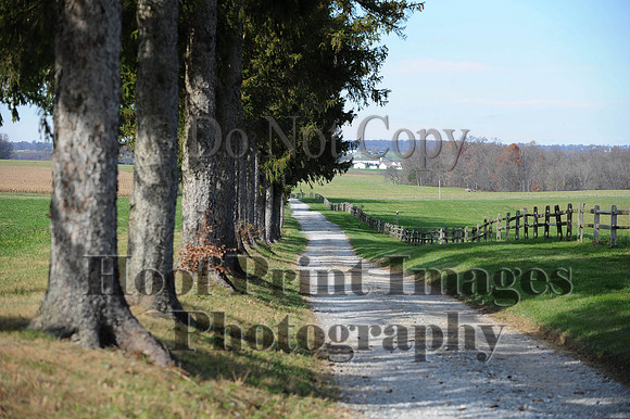 AndrewsBr(11-9-14)0445