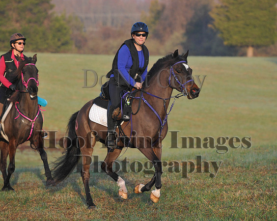 Foxcatcher(4-12-14)0257