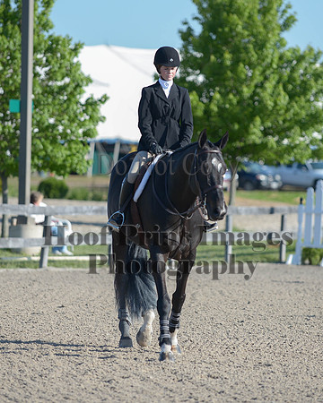 BRSu(5-18-14)JsyMol0027