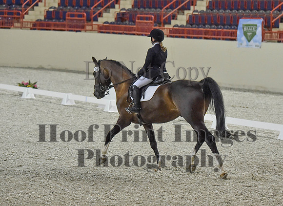 CWdressageI(8-20-16)0200