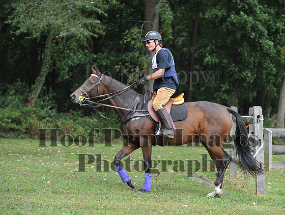 CheshirePC(10-16-16)0456